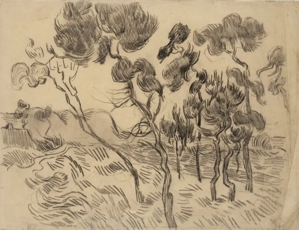 Van Gogh Sketch Van Gogh