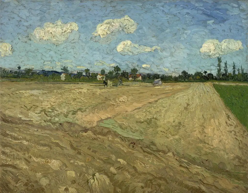 Vincent van Gogh Geploegde akkers De voren Van Gogh