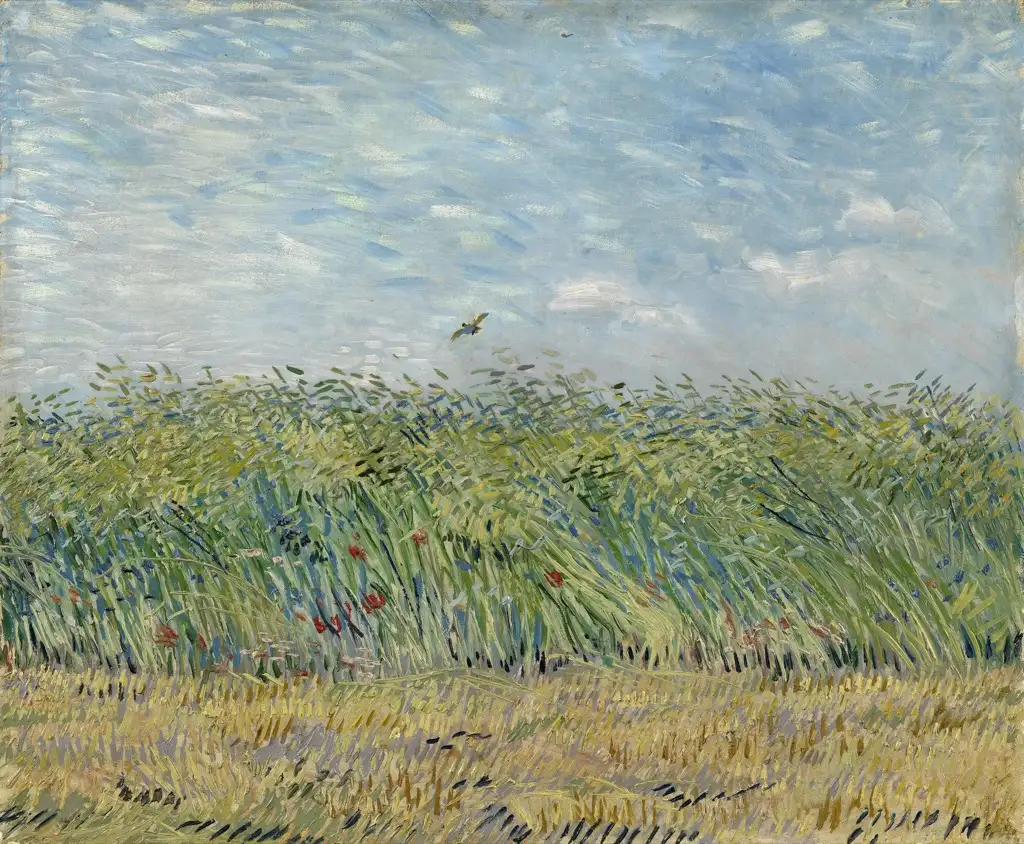 Wheat Field with a Lark Van Gogh