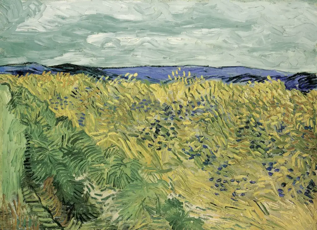 Wheat Field with Cornflowers Van Gogh