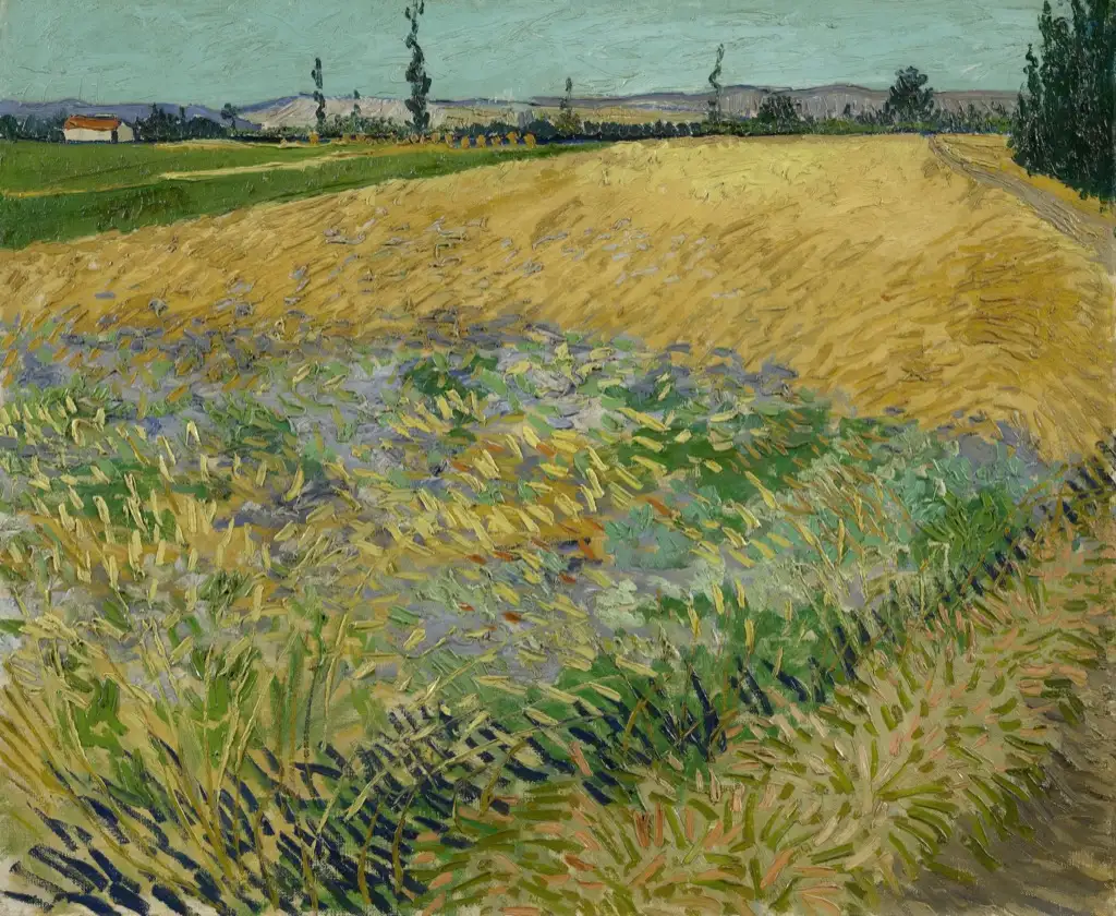 Wheat Field Van Gogh
