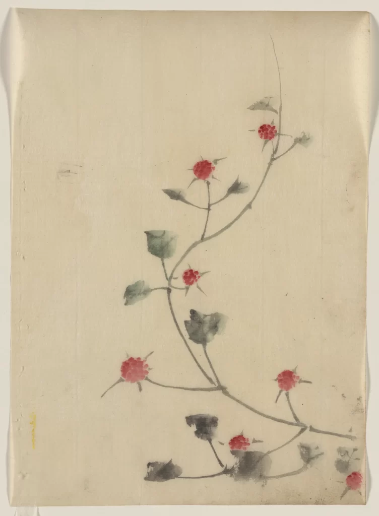 Vine Red Berries Leaves Delicate Minimalist