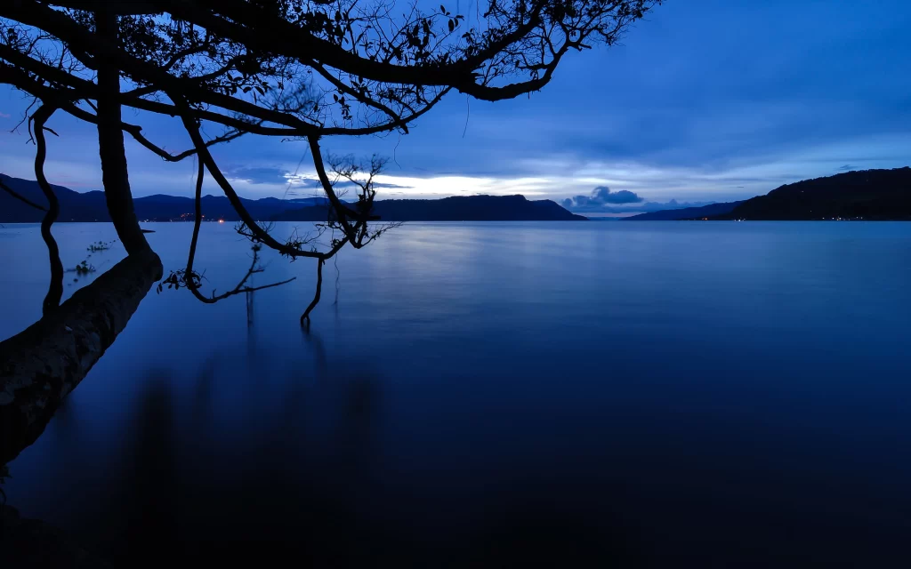 Twilight Lake Mountains Silhouetted Tree Calm