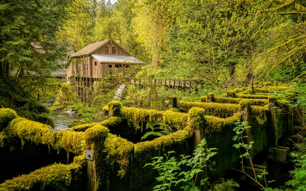 Wooden House Mossy Fence Lush Forest Creek Nature