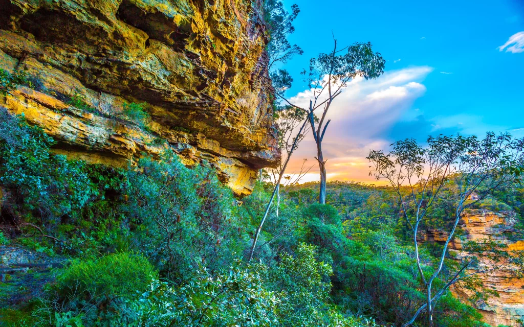 Sunset Rocky Cliff Dense Vegetation Clear Sky