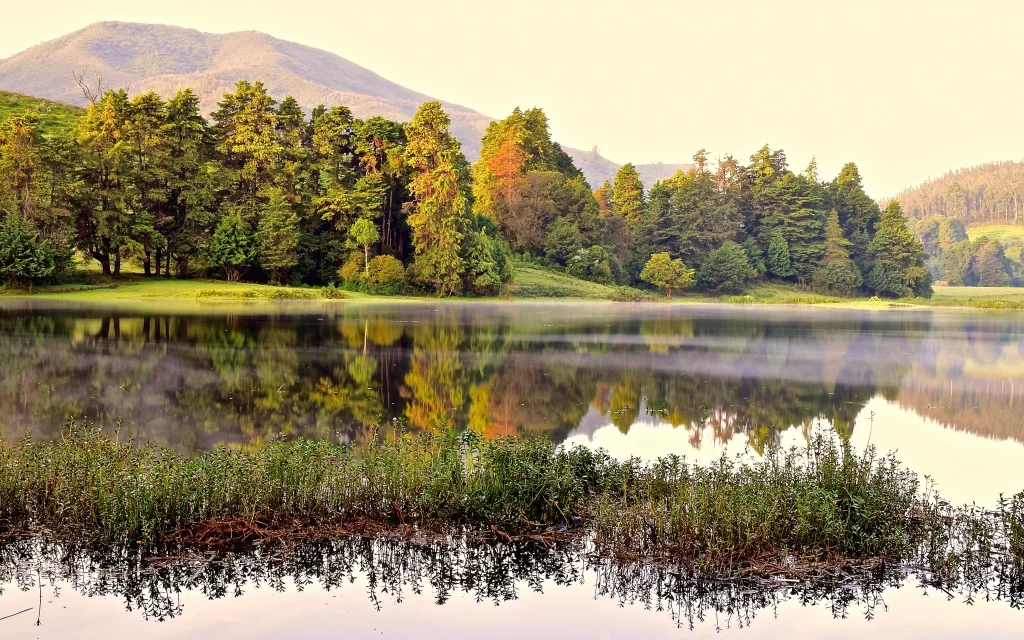 Tranquil Lake Misty Morning Forest Reflection Mountain