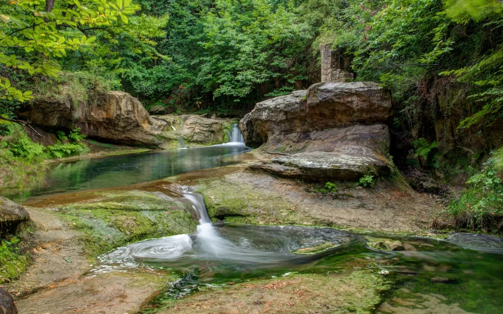 Lush Greenery Tranquil Stream Rocky Terrain Mossy Stones Verdant Foliage