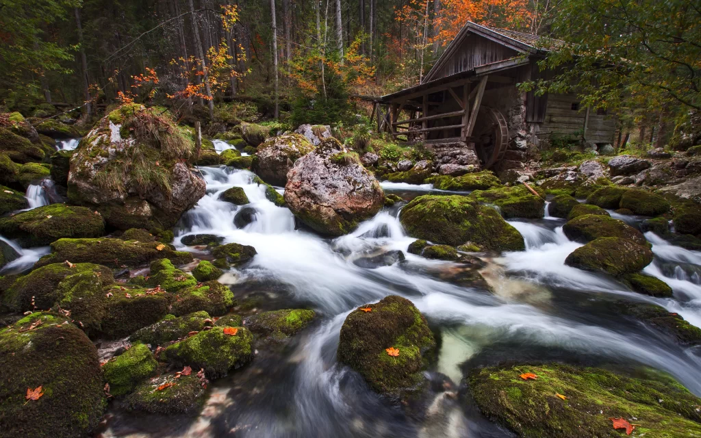 Rustic Watermill Mossy Rocks Autumn Leaves Flowing Stream Forest