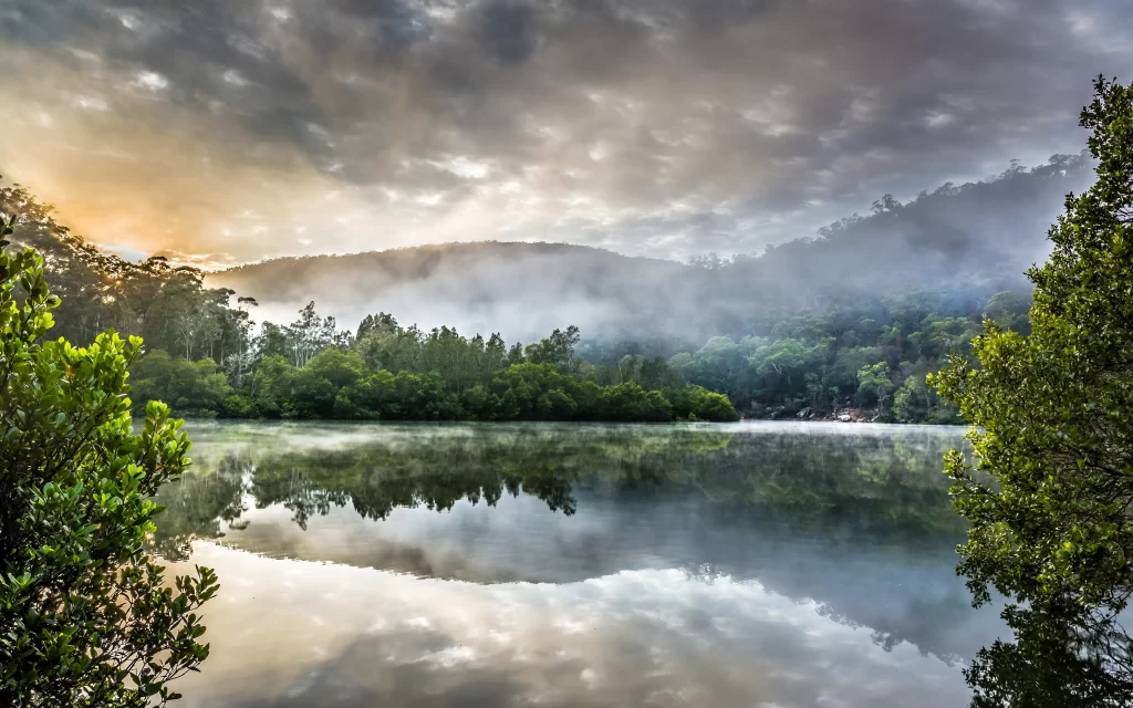 Sunset Misty Lake Forest Reflection Mountains