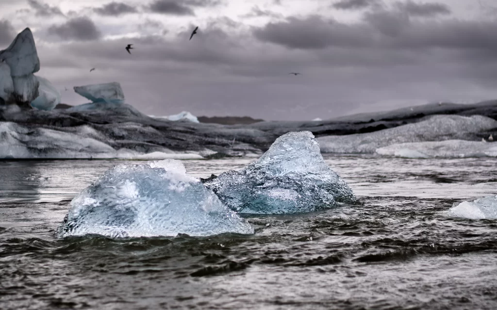 Icebergs Glacial Lake Birds Overcast Sky