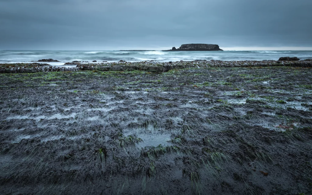 Mossy Shoreline Ocean Waves Rocky Outcrop Overcast Sky