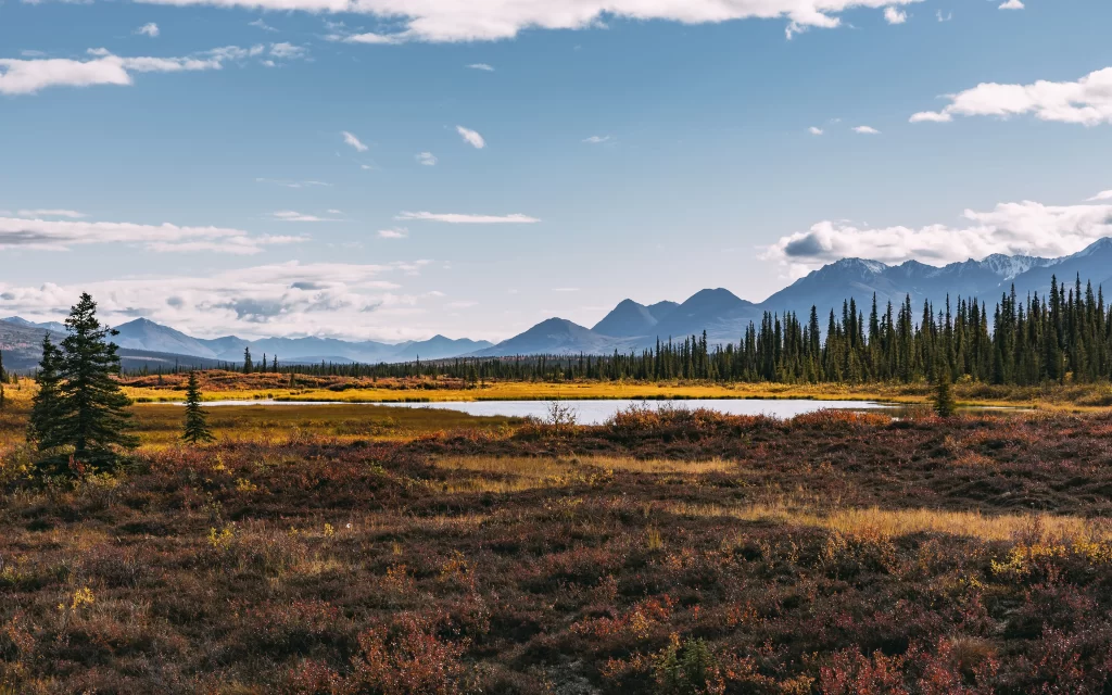 Autumnal Landscape Mountains Lake Forest