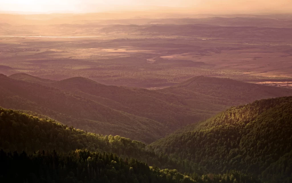 Sunset Forest Hills Rolling Landscape Golden Light