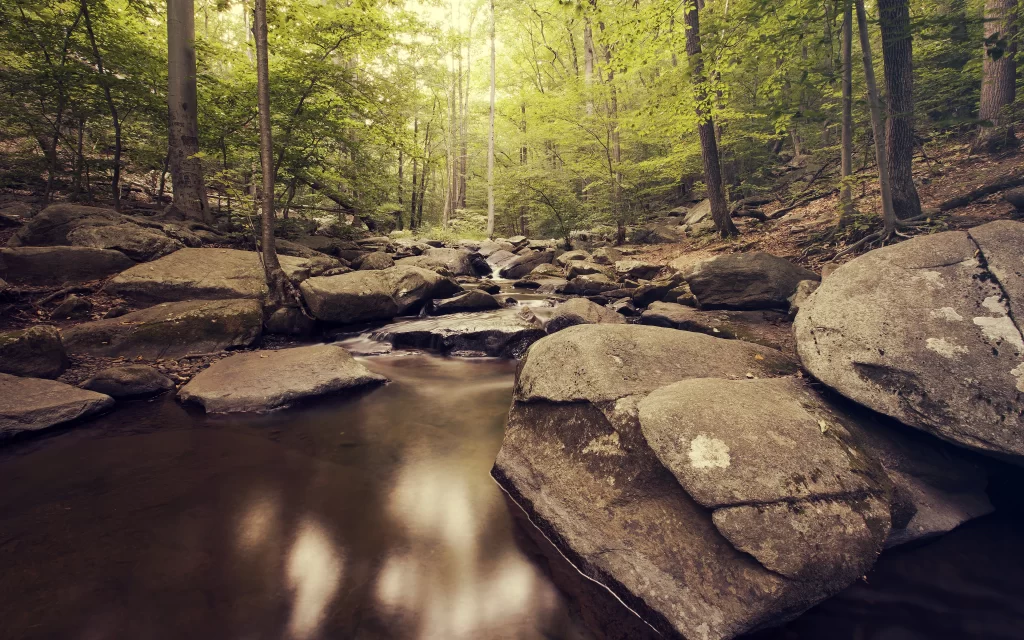 Forest Stream Rocks Mossy Green Tranquil