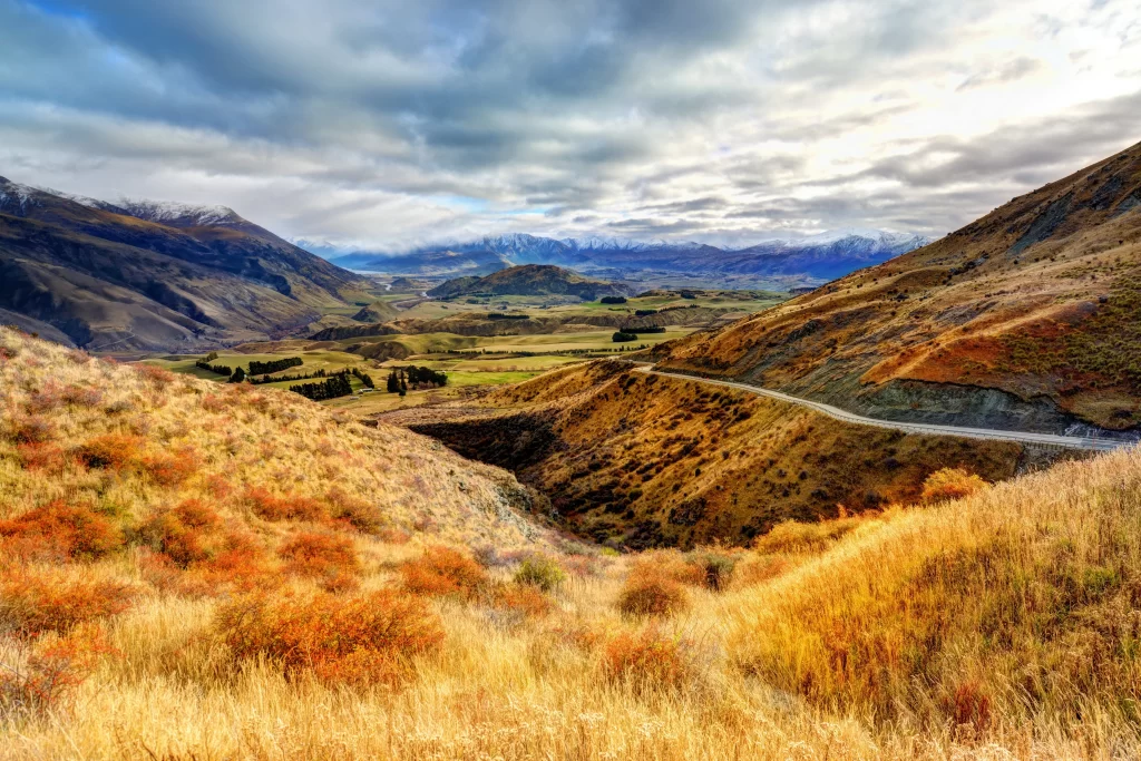 Autumn Hills Rolling Landscape Road Scenic