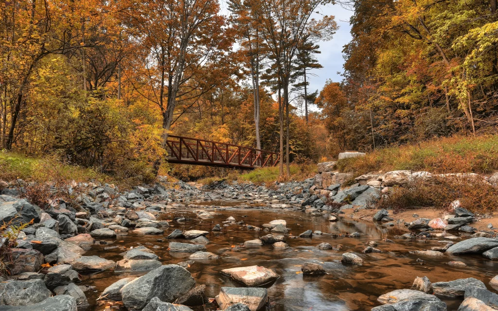 Autumn Forest Bridge Creek Rocks