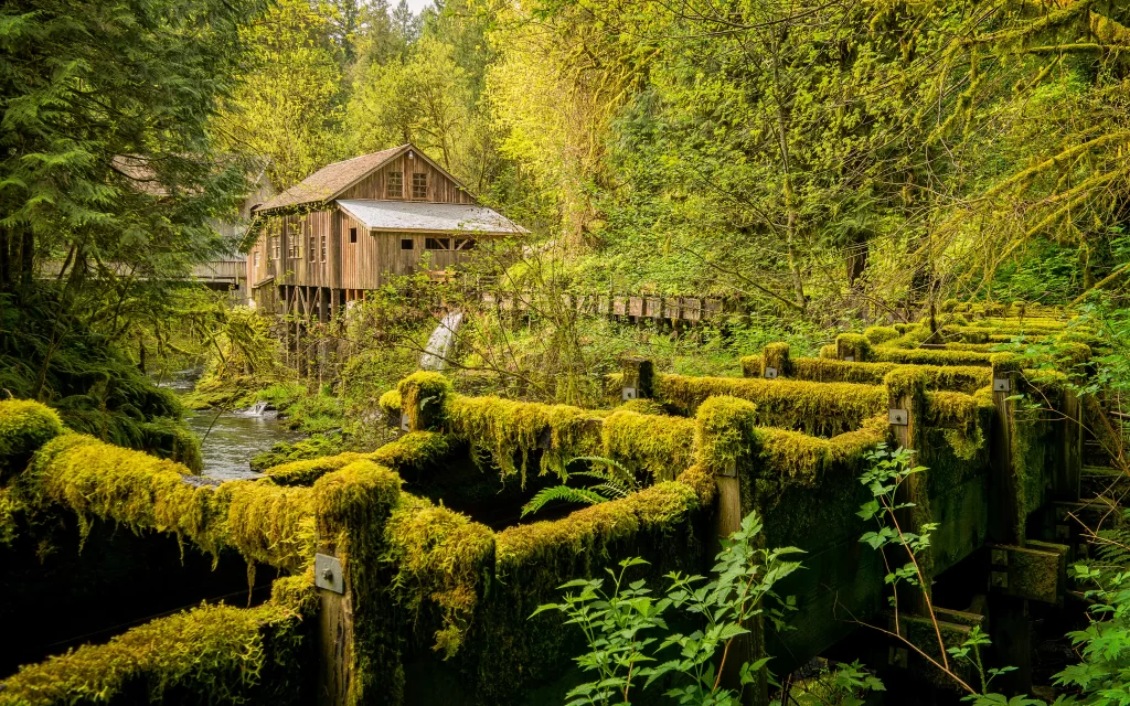 Wooden House Mossy Fence Lush Trees River Nature