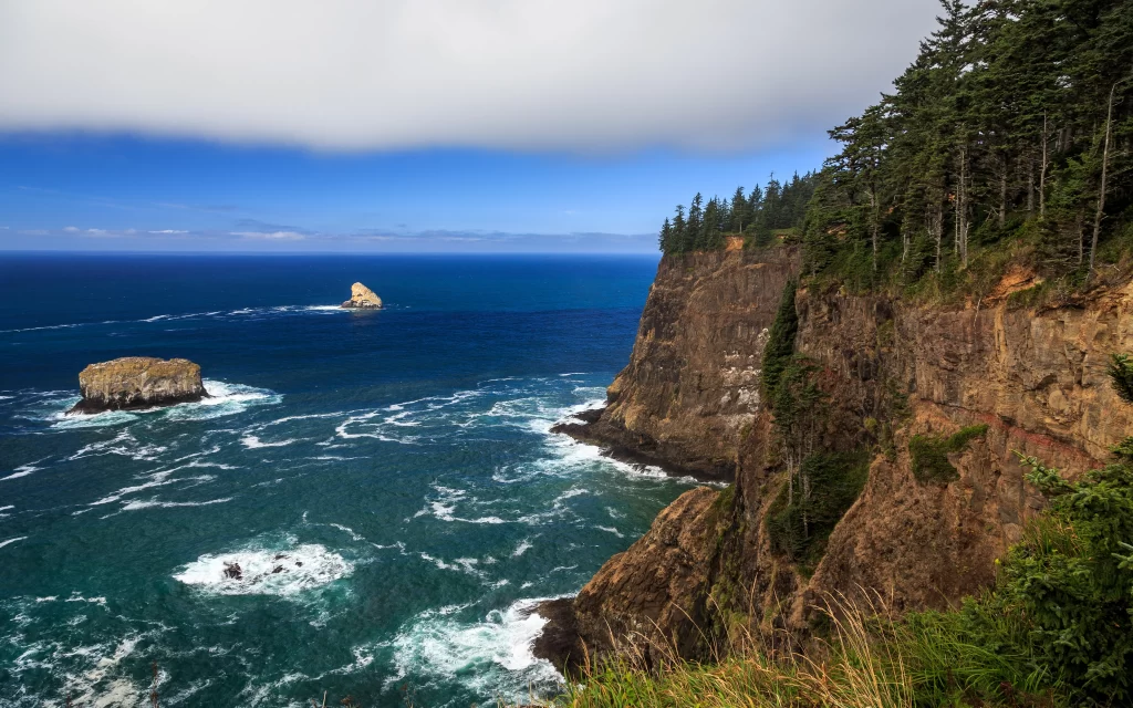 Ocean Waves Rocky Cliffs Forest Greenery Blue Sky
