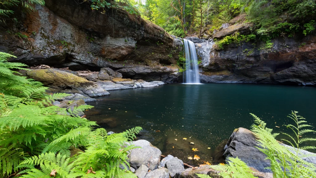 Waterfall Emerald Pool Ferns Rocks Forest