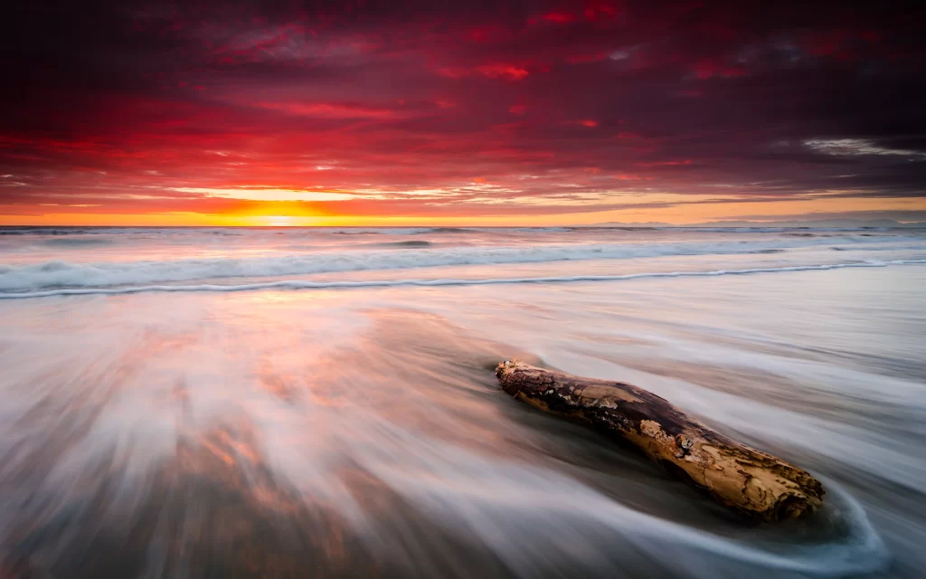 Sunset Ocean Waves Beach Driftwood Dramatic