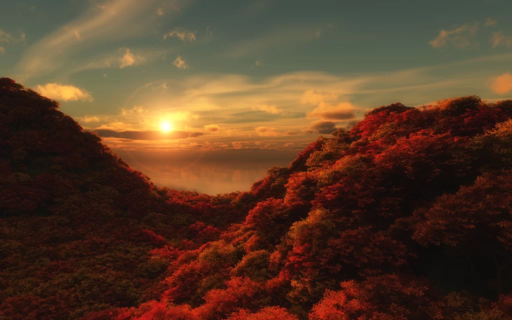 Sunset Autumn Forest Mist Mountains