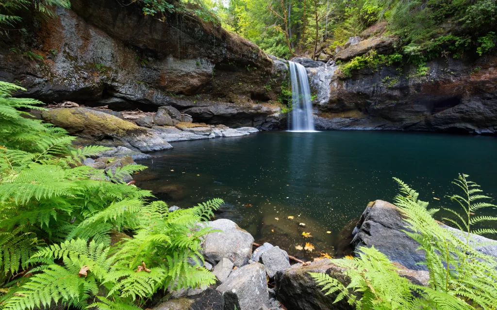 Waterfall Emerald Pool Ferns Rocks Forest
