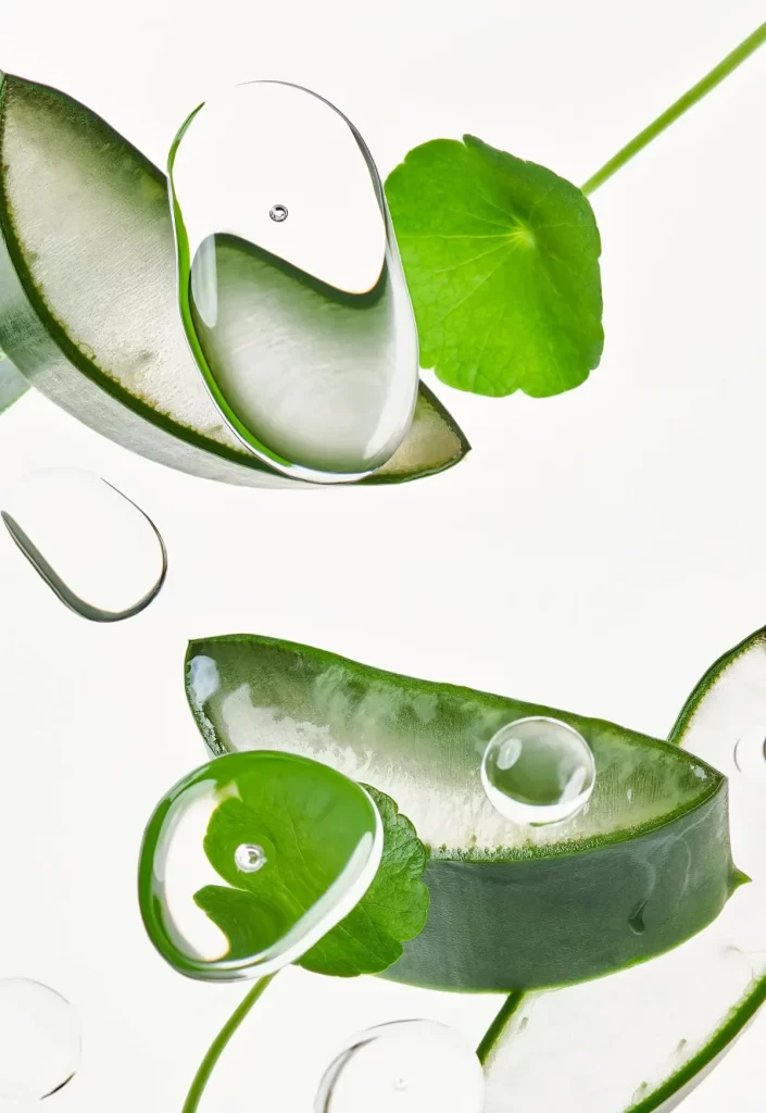 Water Droplets Green Leaves Aloe Vera