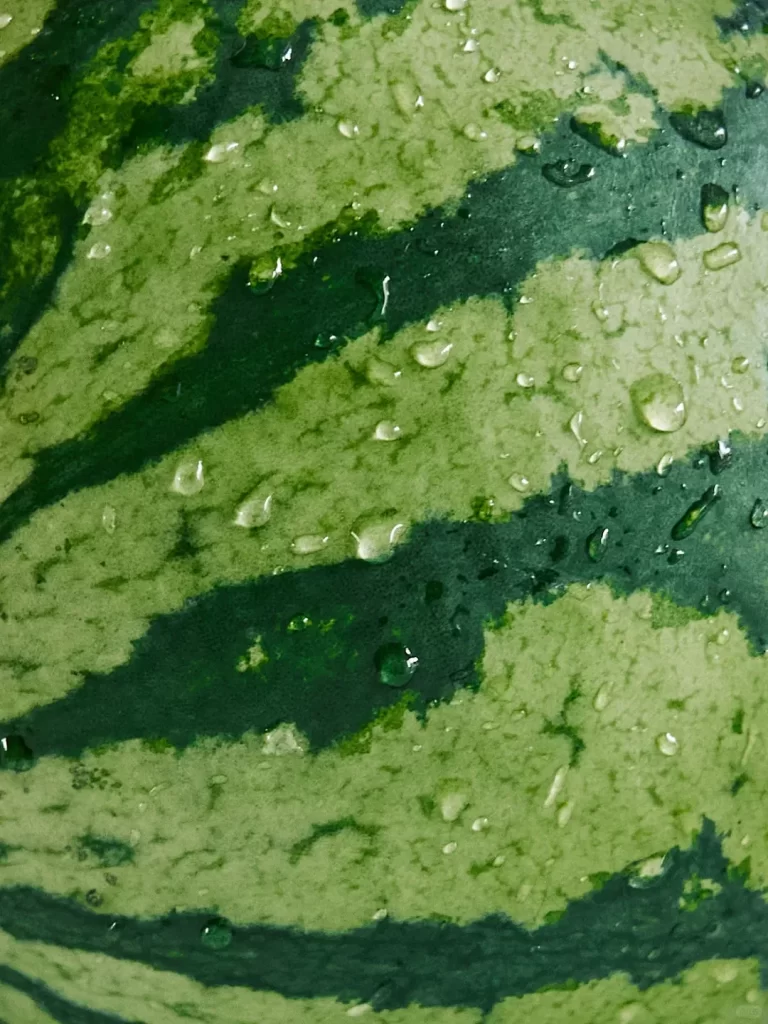 Water Droplets Green Texture Surface