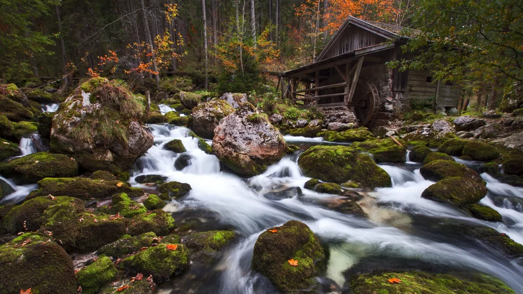 water stream rocks forest cabin autumn