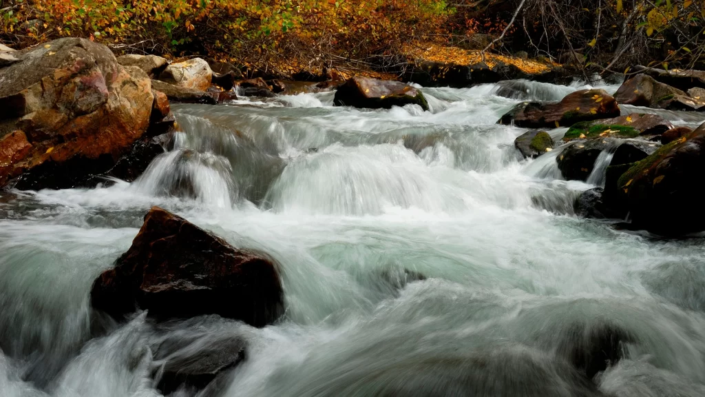 water stream rocks nature autumn leaves