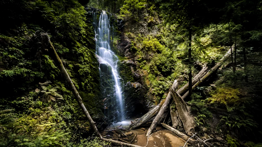 waterfall forest greenery nature sunlight tranquility