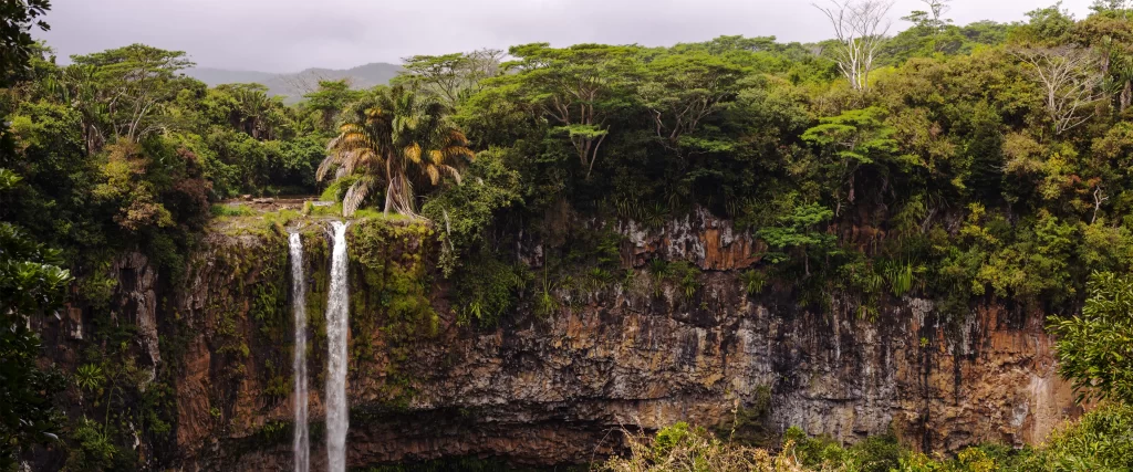 Waterfall Lush Greenery Cliff Nature Serene