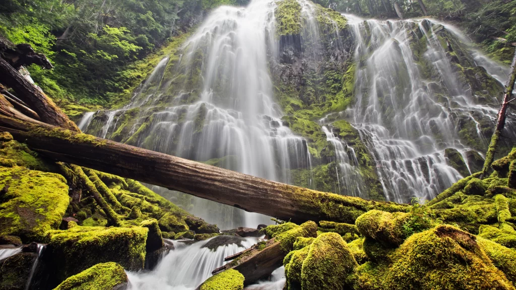 waterfall moss rocks forest nature stream