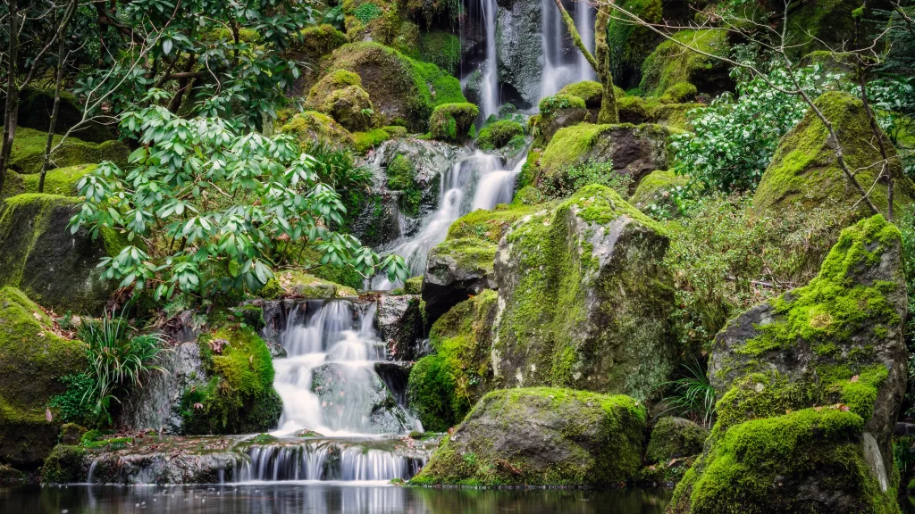 Waterfall Moss Rocks Greenery Serene Nature