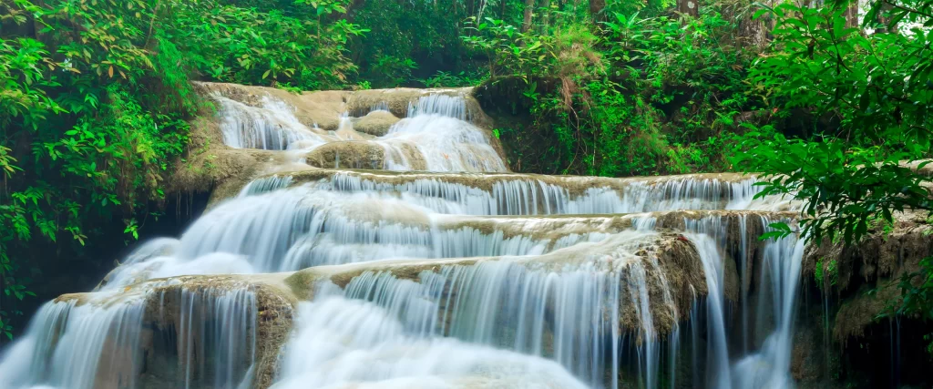 waterfall nature greenery serene flowing lush