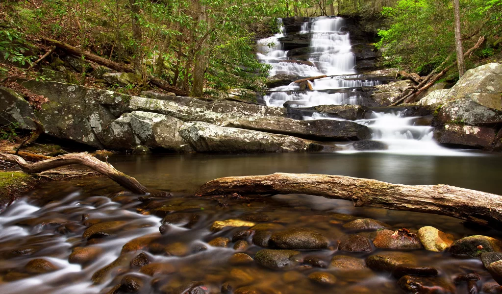 waterfall nature rocks forest serene tranquil