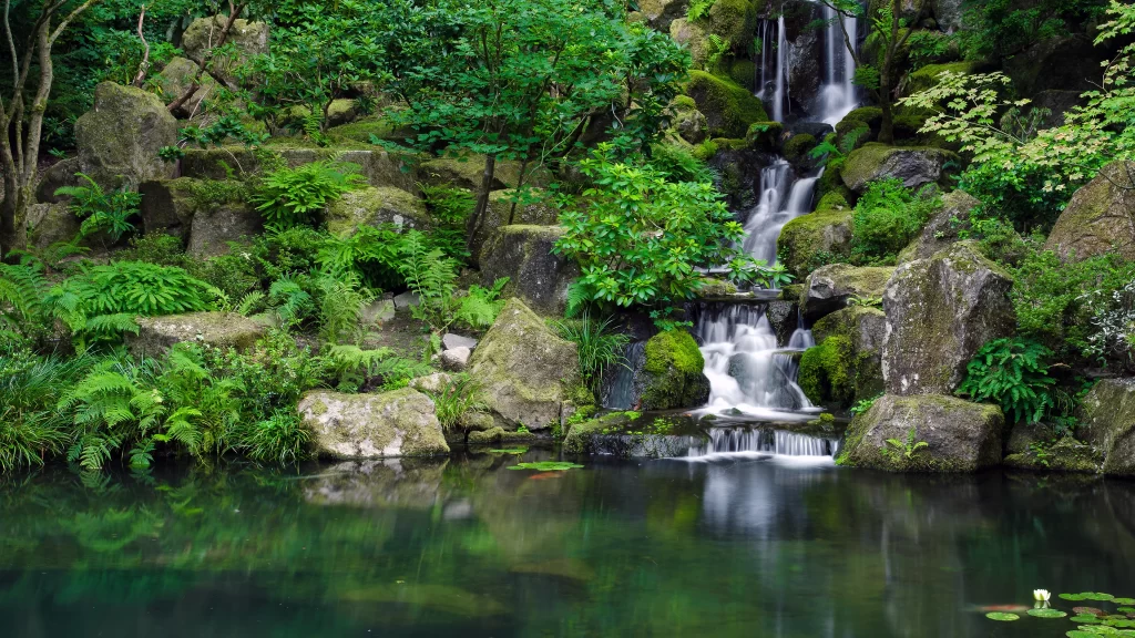 Waterfall Pond Greenery Rocks Serene Nature