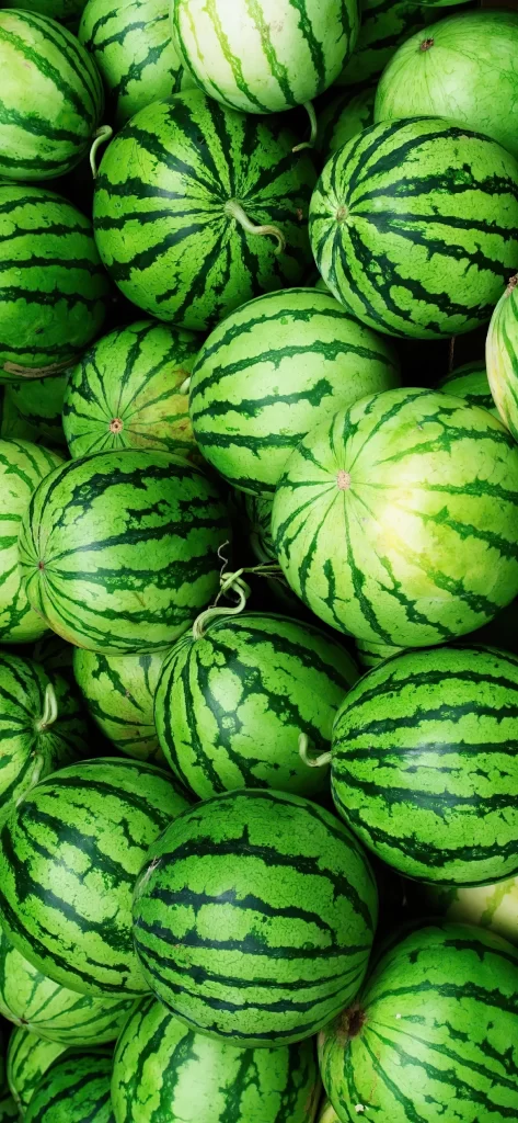 Watermelon Fresh Green Ripe Juicy Summer