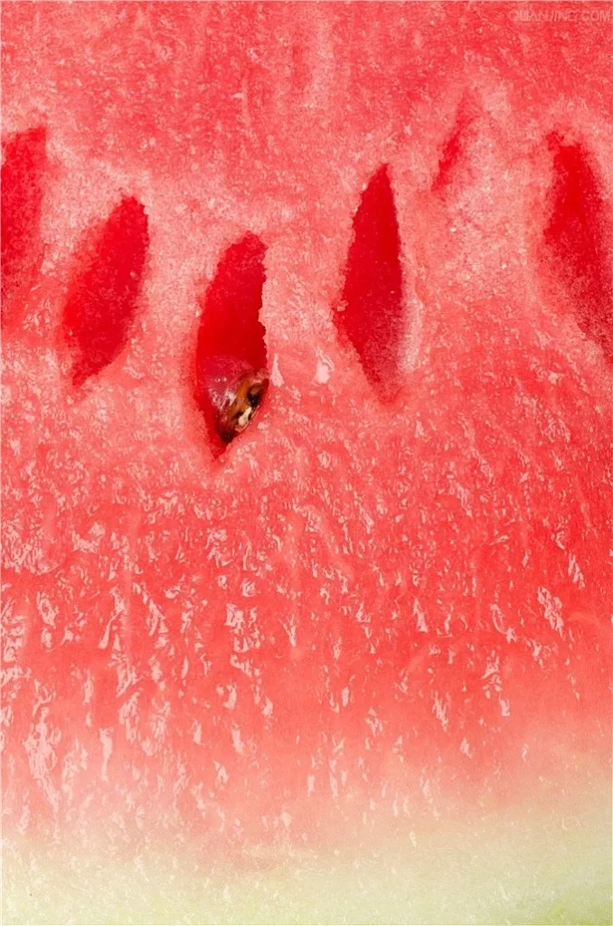 Watermelon Juicy Red Seeds Fresh