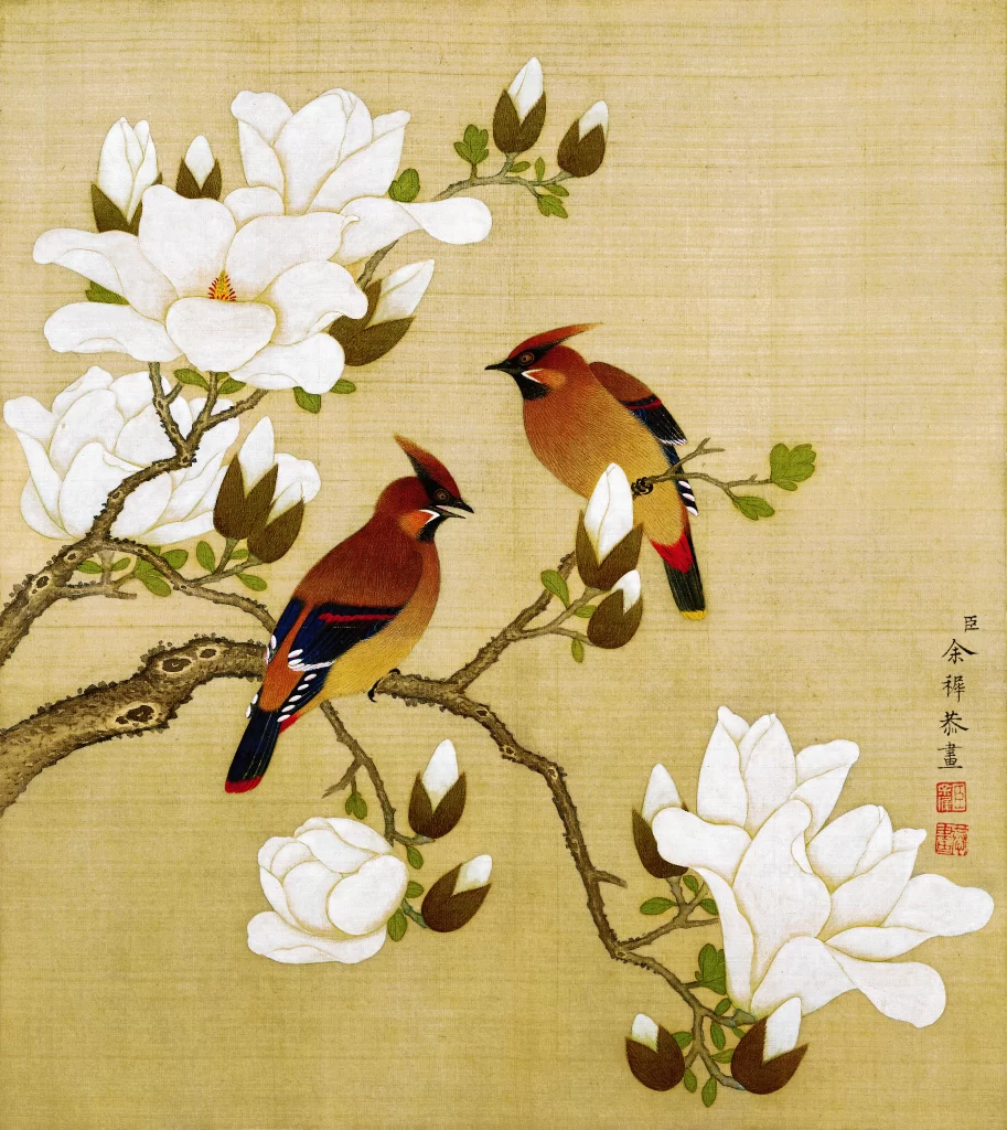 Waxwing Magnolia Yu Zhi