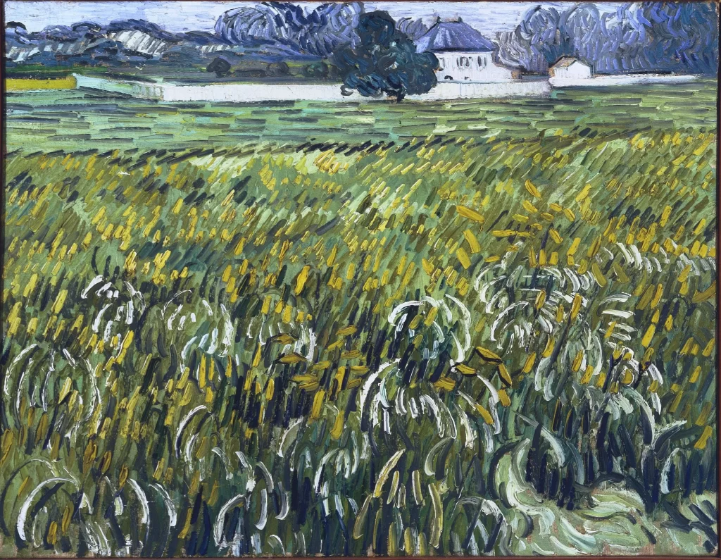 Wheat Field at Auvers with White House Van Gogh