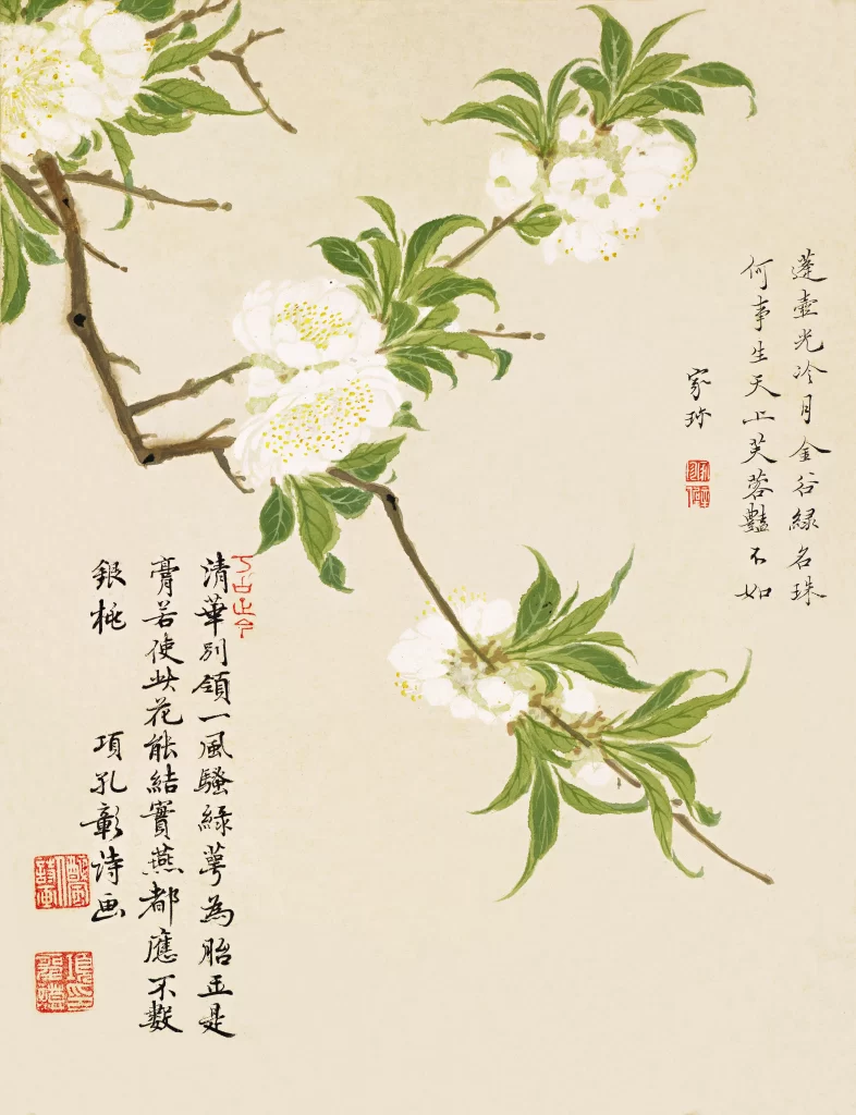 White Camellia Golden Stamens Silver Loquat Xiang Shengmo