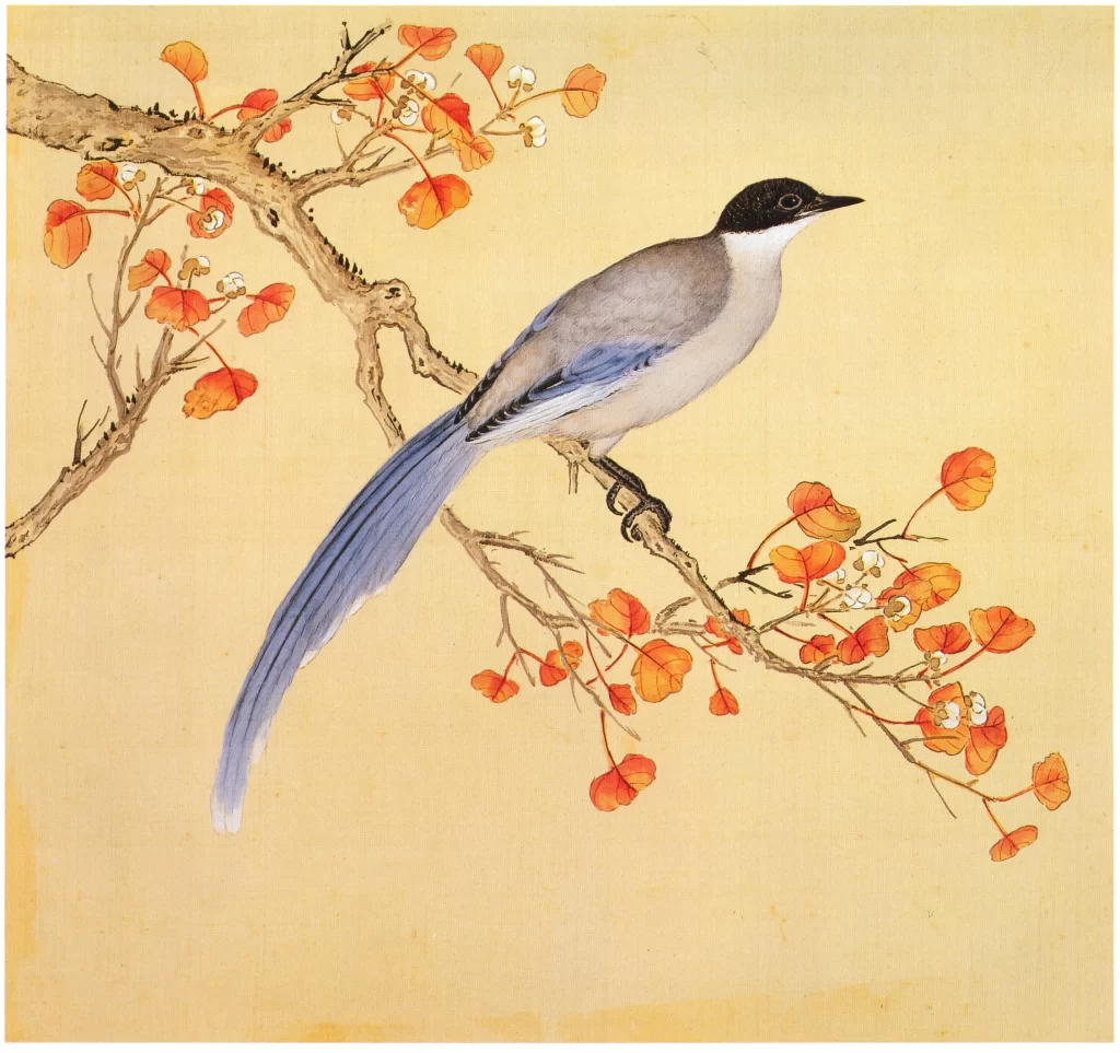 White bird Yu Sheng