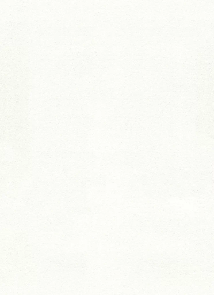 White Textured Grainy Matte Paper