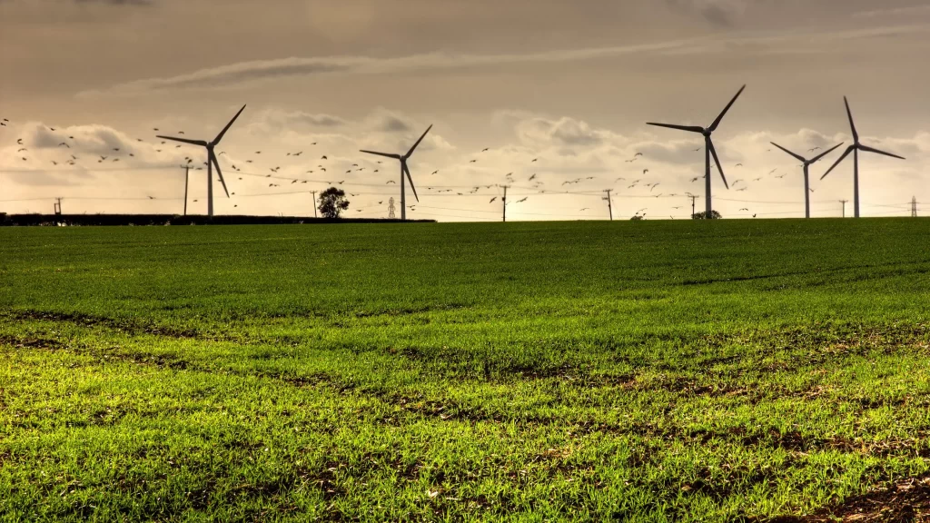 wind turbines green field birds cloudy sky renewable energy rural landscape