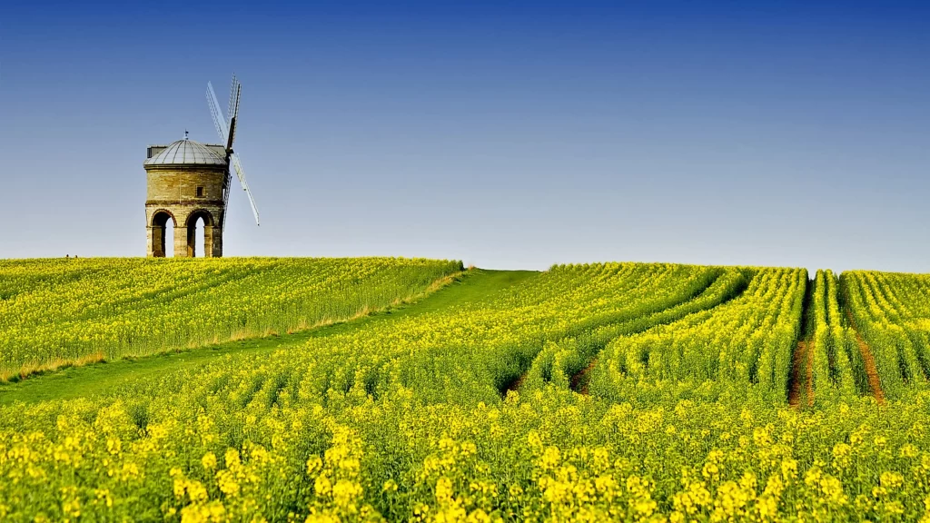 windmill field flowers sky path rural