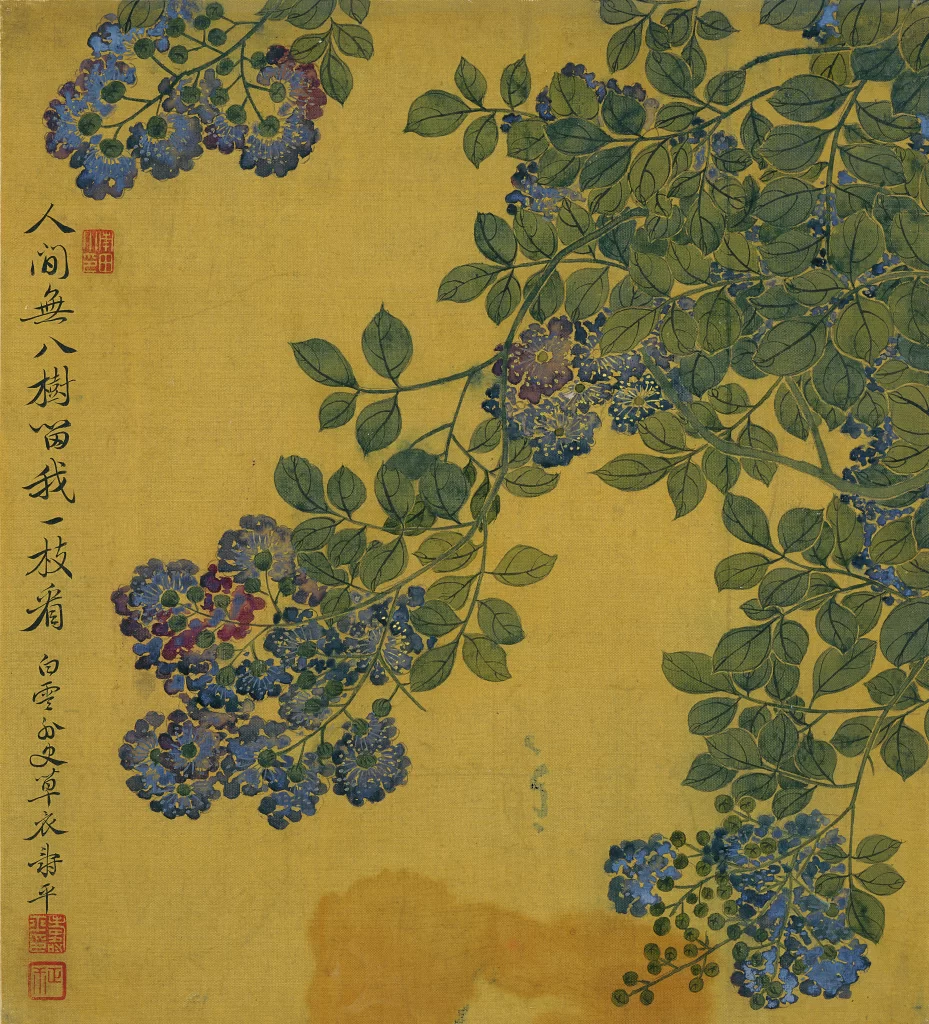Wisteria Deep Purple Yun Shouping