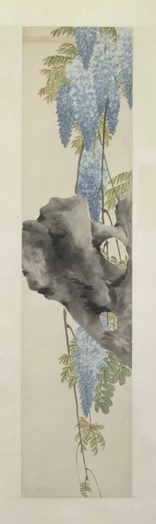 Wisteria Taihu Rock Ren Xiong