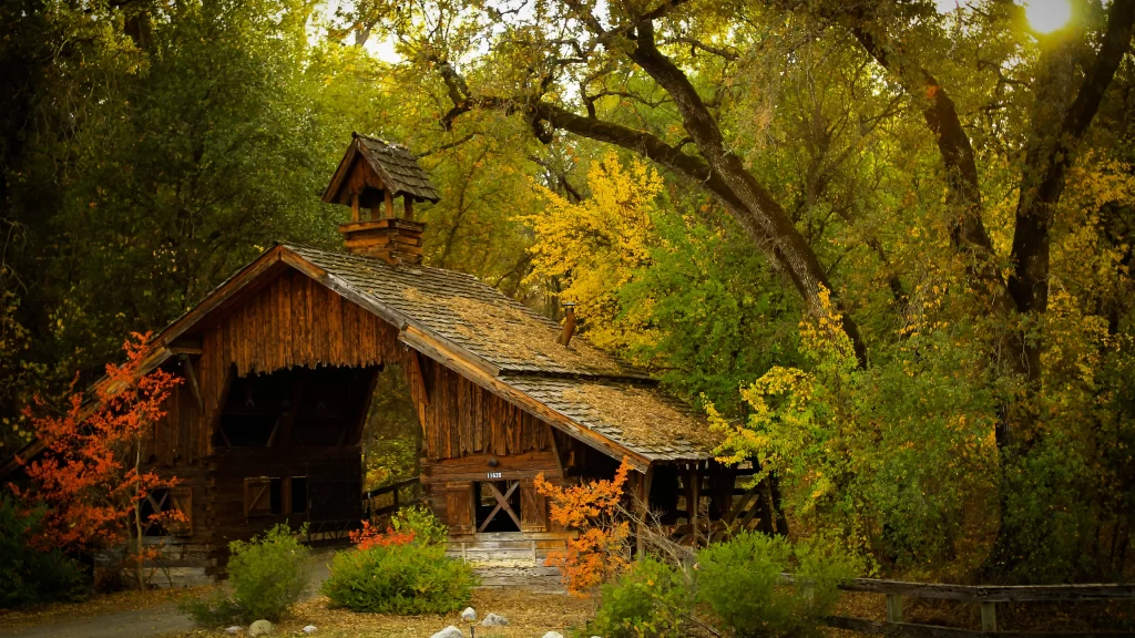 wooden building autumn leaves trees greenery rustic