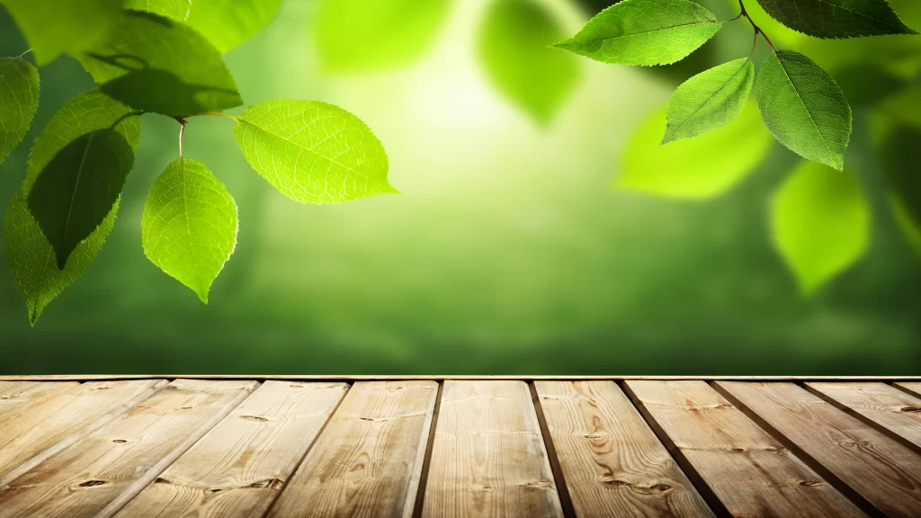 Wooden Floor Green Leaves Sunlight Nature Serene Tranquil